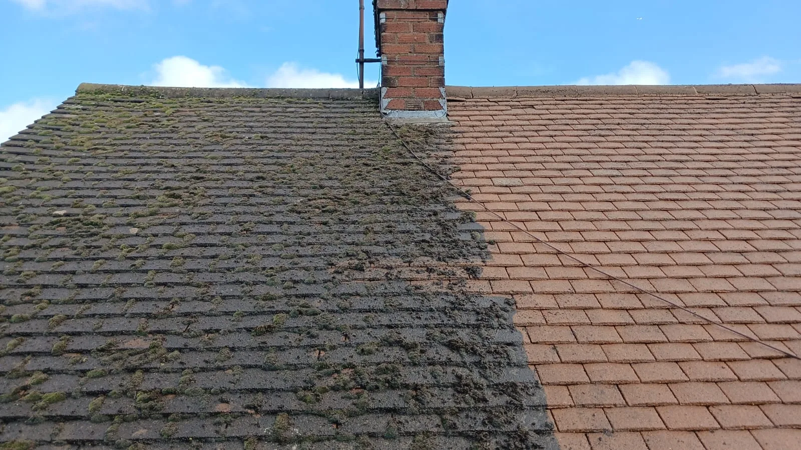 Moss Removal